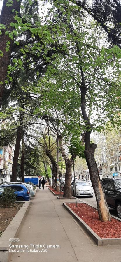 Comfy Apartment Tbilisi Exterior foto